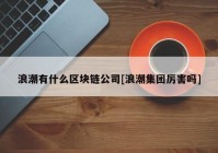 浪潮有什么区块链公司[浪潮集团厉害吗]